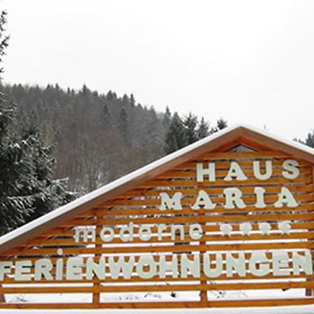 Haus Maria Apartman Todtnau Kültér fotó