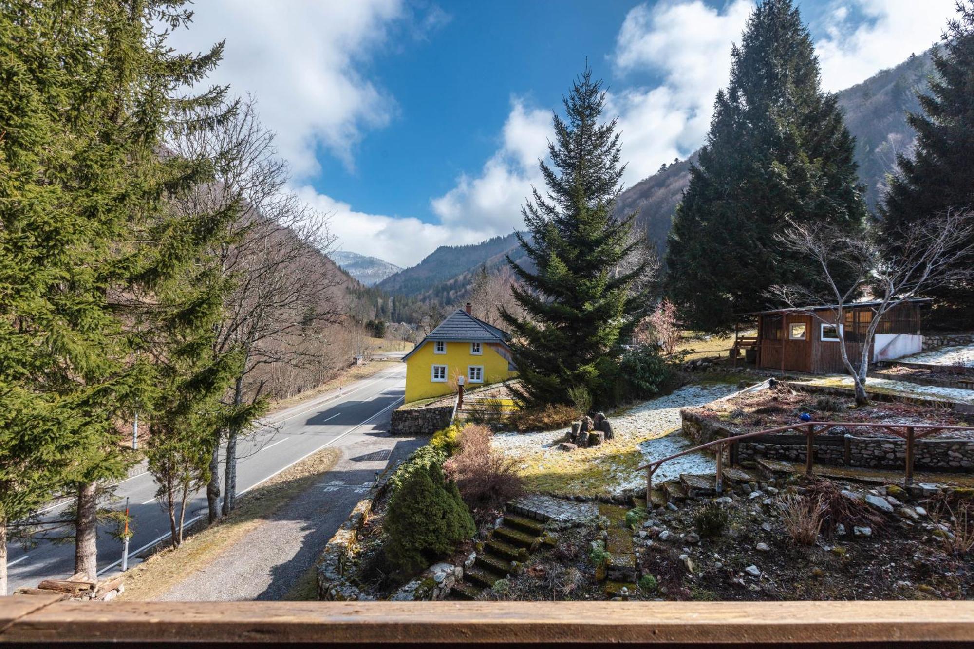 Haus Maria Apartman Todtnau Kültér fotó